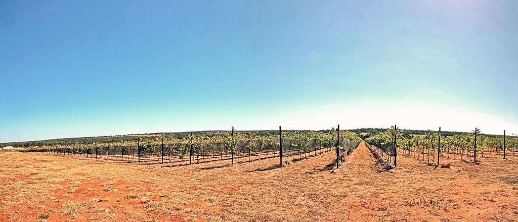 189 Acres of Agricultural Land for Sale in Fredericksburg, Texas