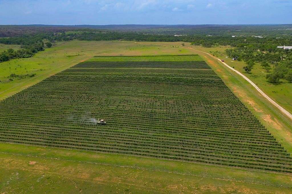 189 Acres of Agricultural Land for Sale in Fredericksburg, Texas