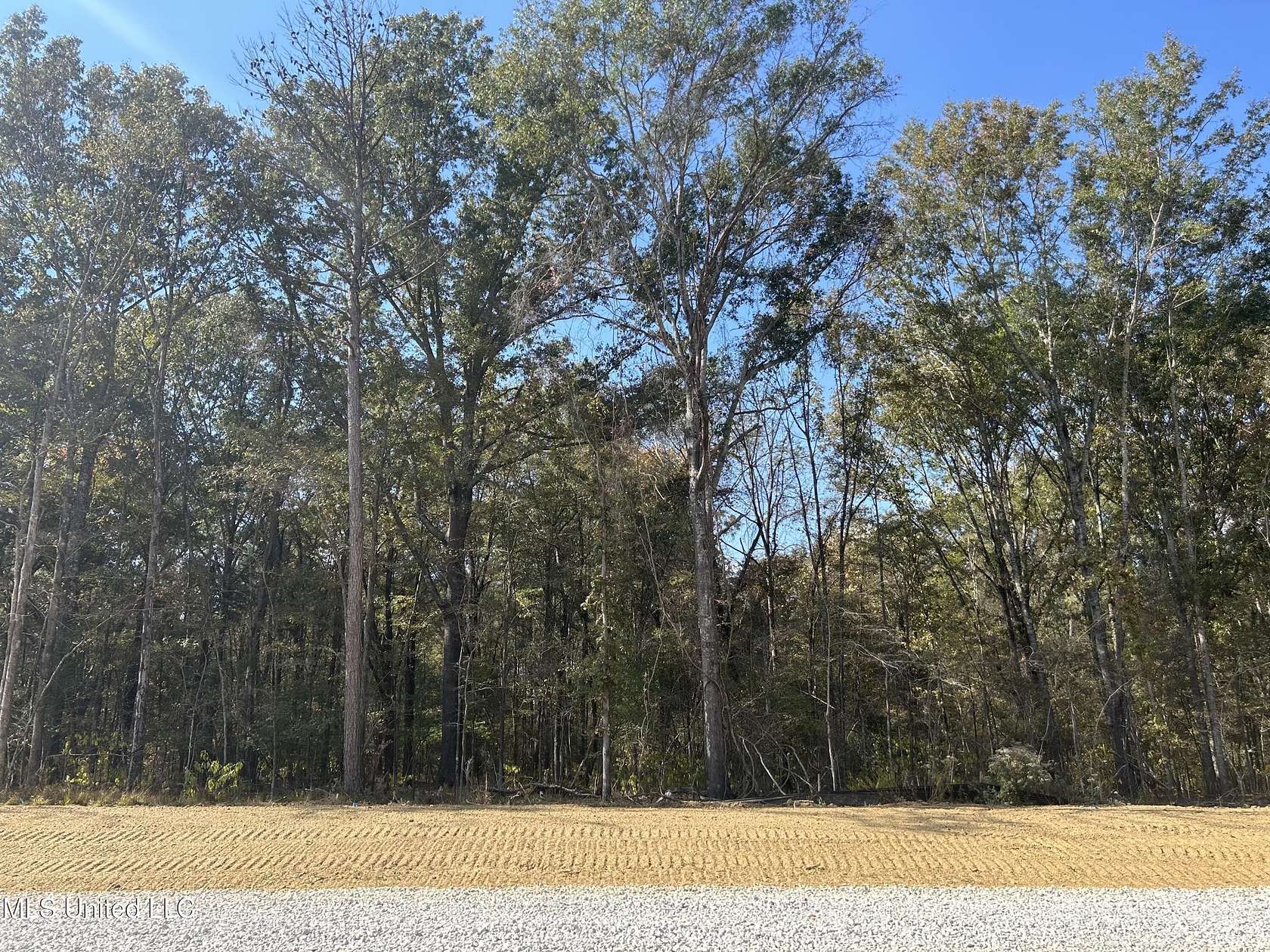 5 Acres of Residential Land for Sale in Madison, Mississippi