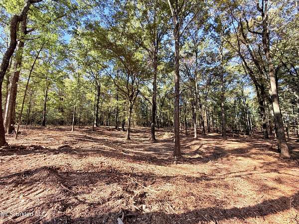 5 Acres of Residential Land for Sale in Madison, Mississippi