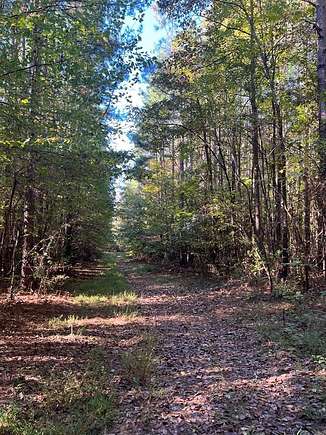 39.64 Acres of Recreational Land for Sale in Cumberland, Virginia