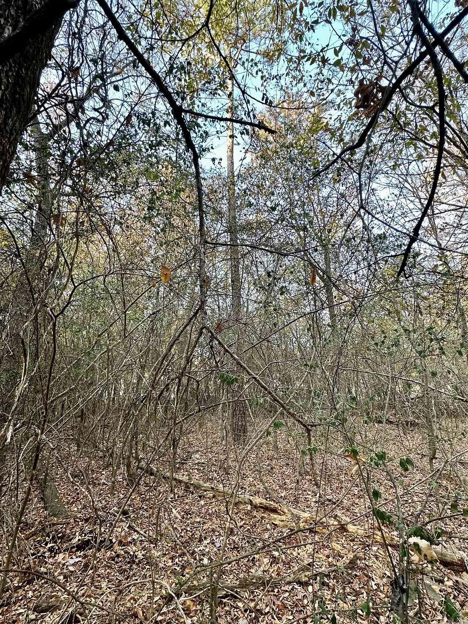 0.86 Acres of Residential Land for Sale in Mena, Arkansas