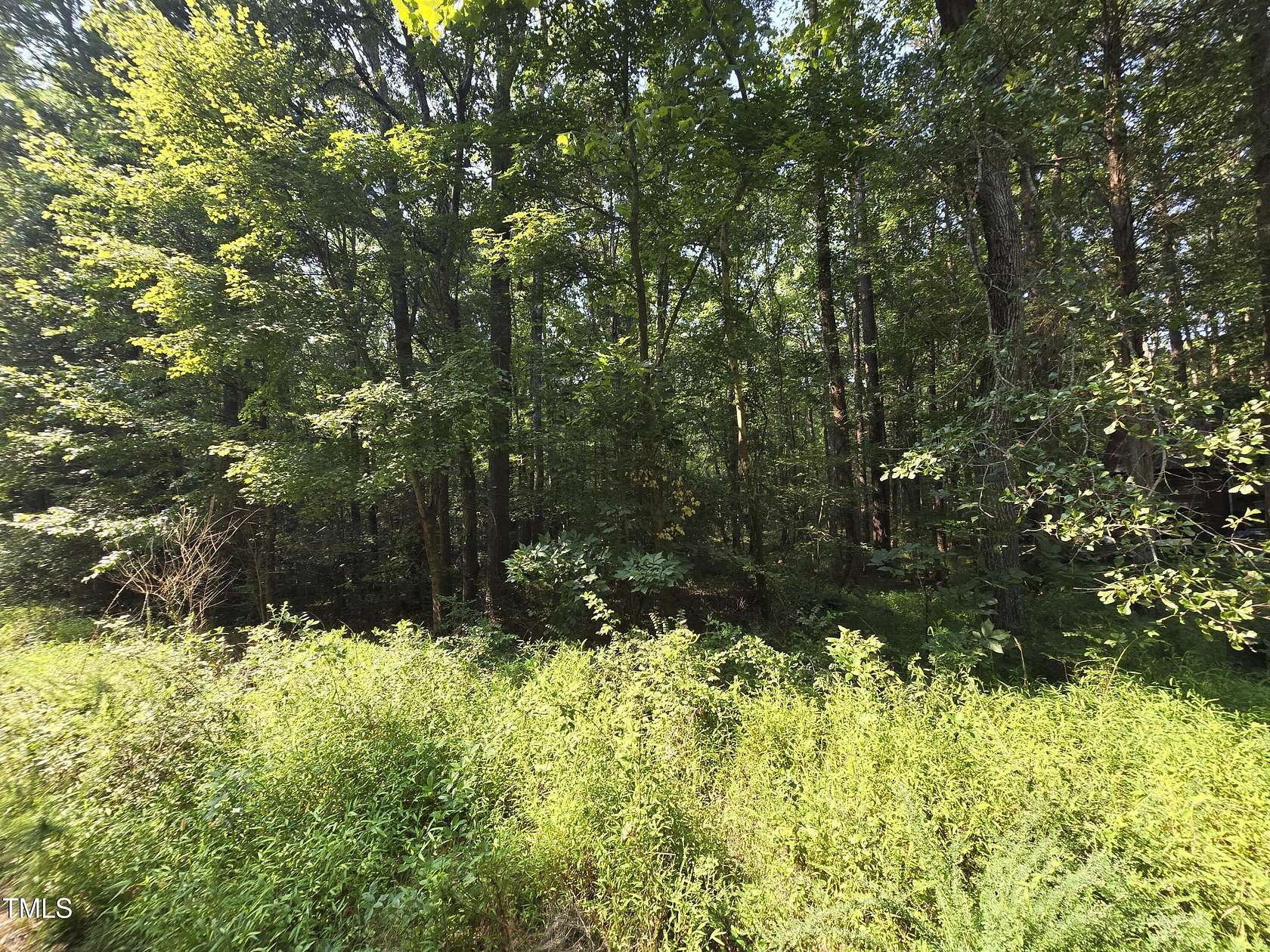 1.24 Acres of Residential Land for Sale in Goldston, North Carolina