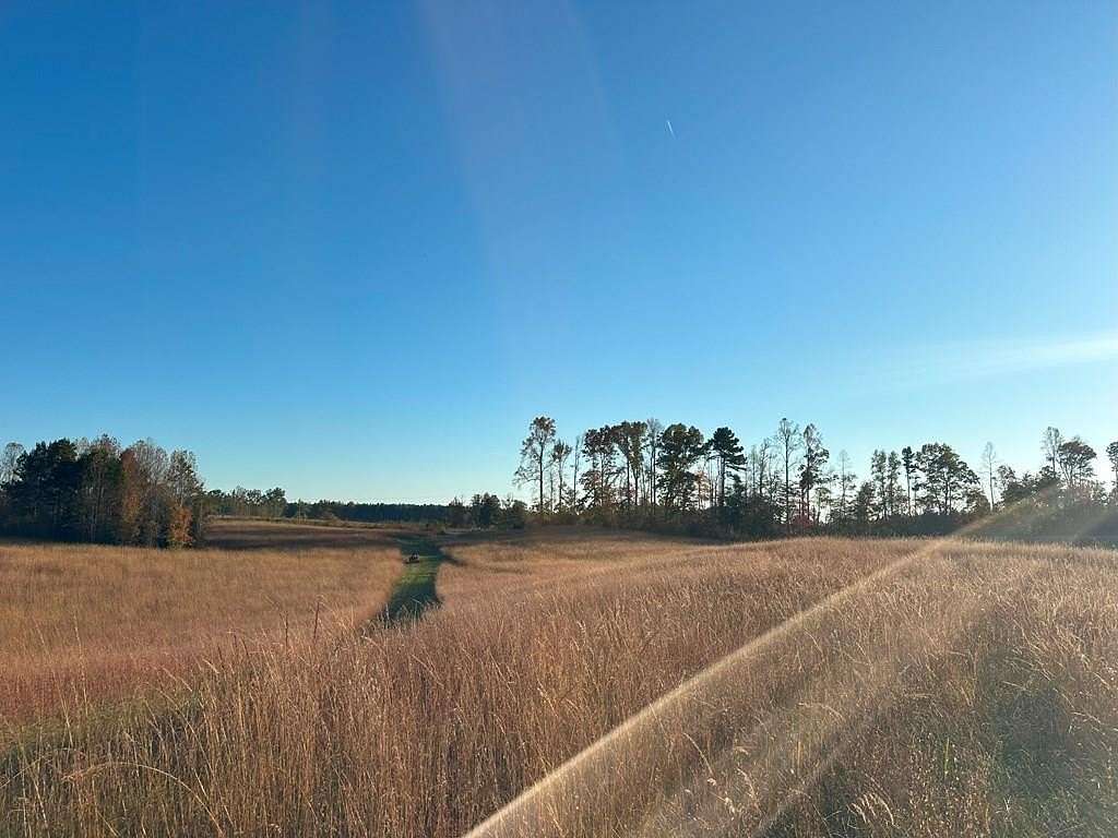 54.83 Acres of Recreational Land & Farm for Sale in Chase City, Virginia