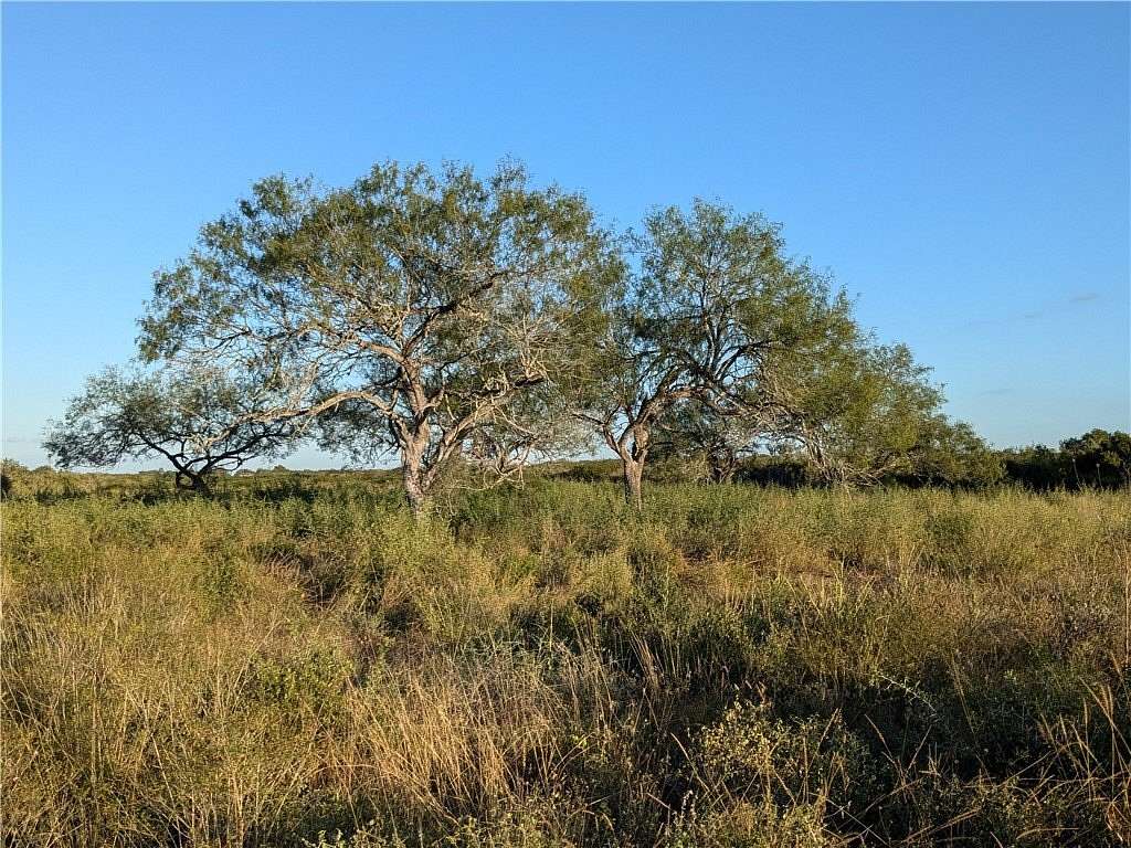 244 Acres of Recreational Land for Sale in San Diego, Texas