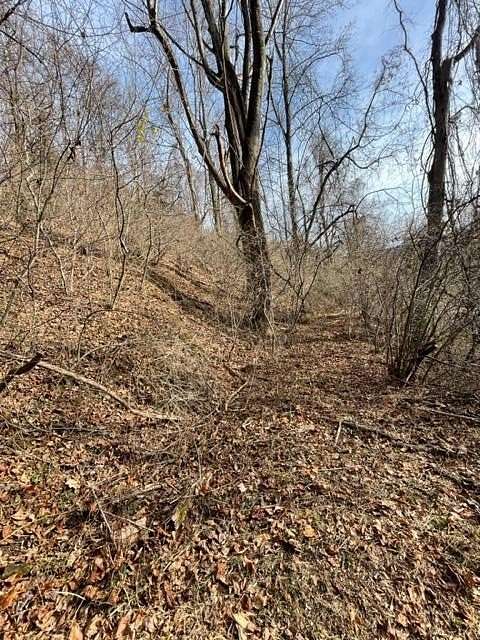 6.4 Acres of Land for Sale in Fancy Gap, Virginia