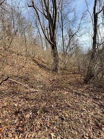 6.4 Acres of Land for Sale in Fancy Gap, Virginia