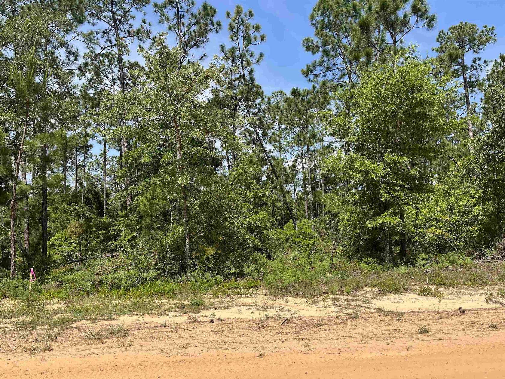 1.29 Acres of Residential Land for Sale in Alford, Florida