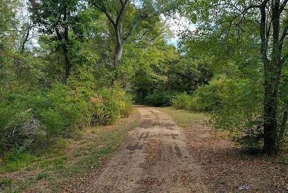 21.052 Acres of Recreational Land for Sale in Bonham, Texas