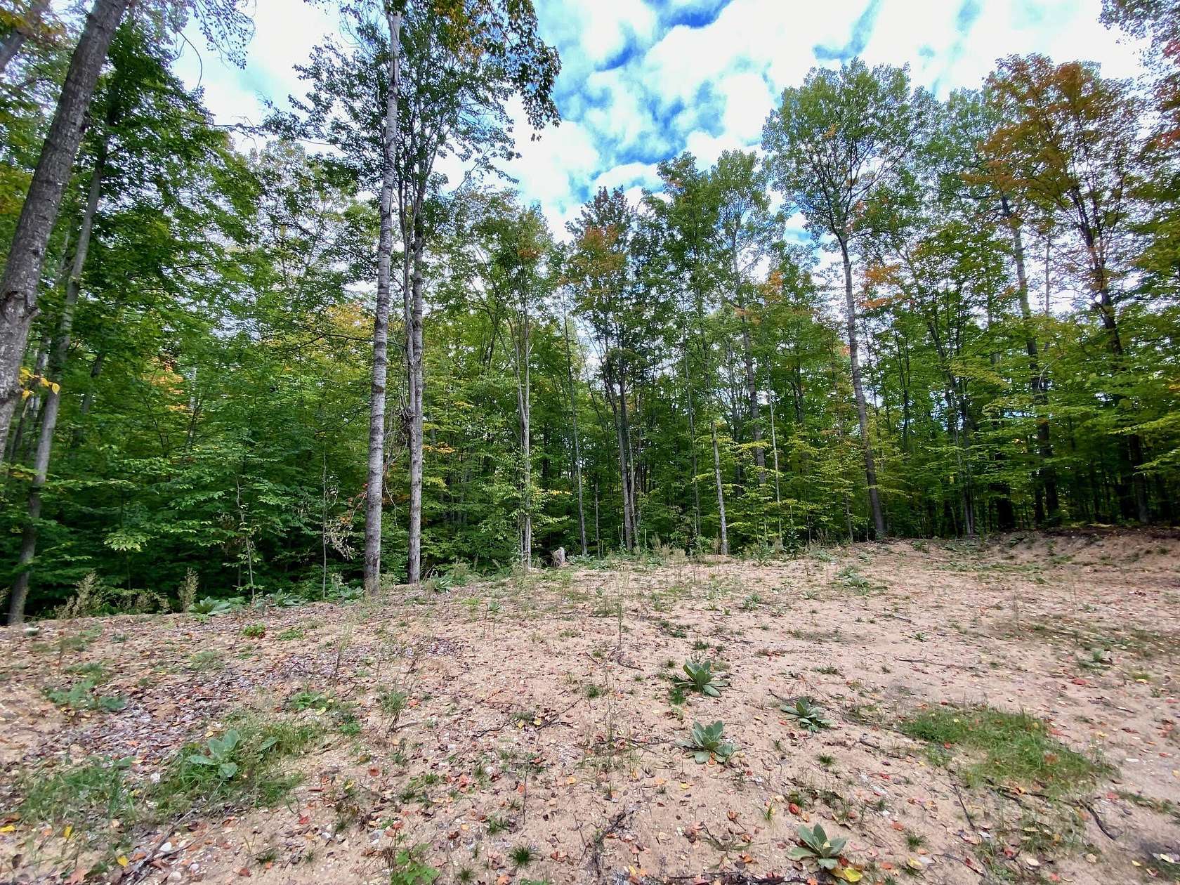 0.97 Acres of Land for Sale in Wolverine, Michigan