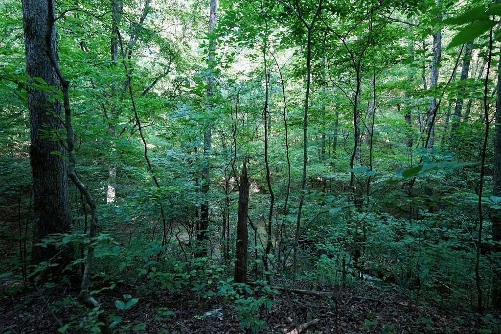 17.95 Acres of Land for Sale in Talking Rock, Georgia