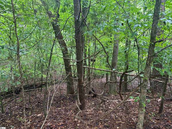 1.45 Acres of Land for Sale in Abbeville, South Carolina