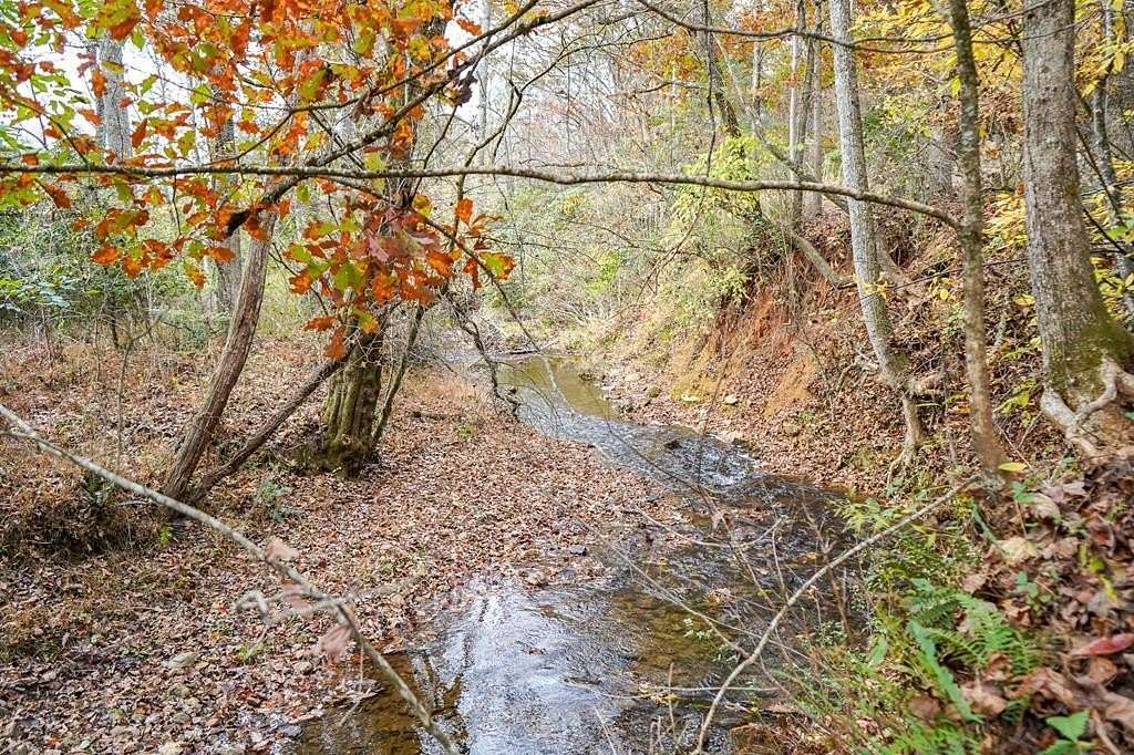 26.013 Acres of Recreational Land for Sale in Blairsville, Georgia