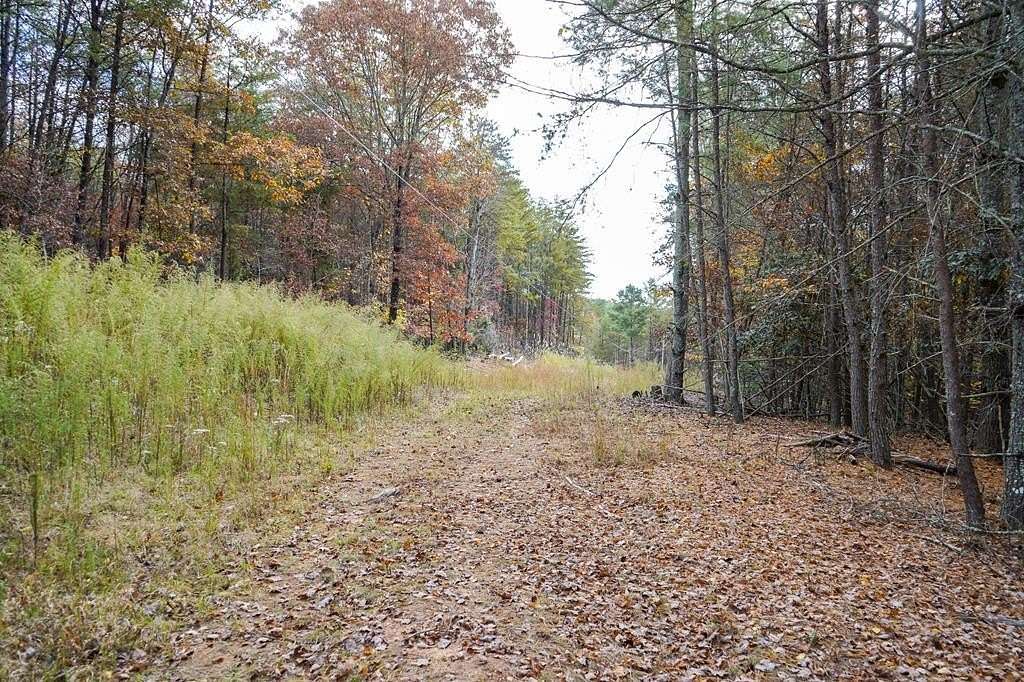 26 Acres of Land for Sale in Blairsville, Georgia