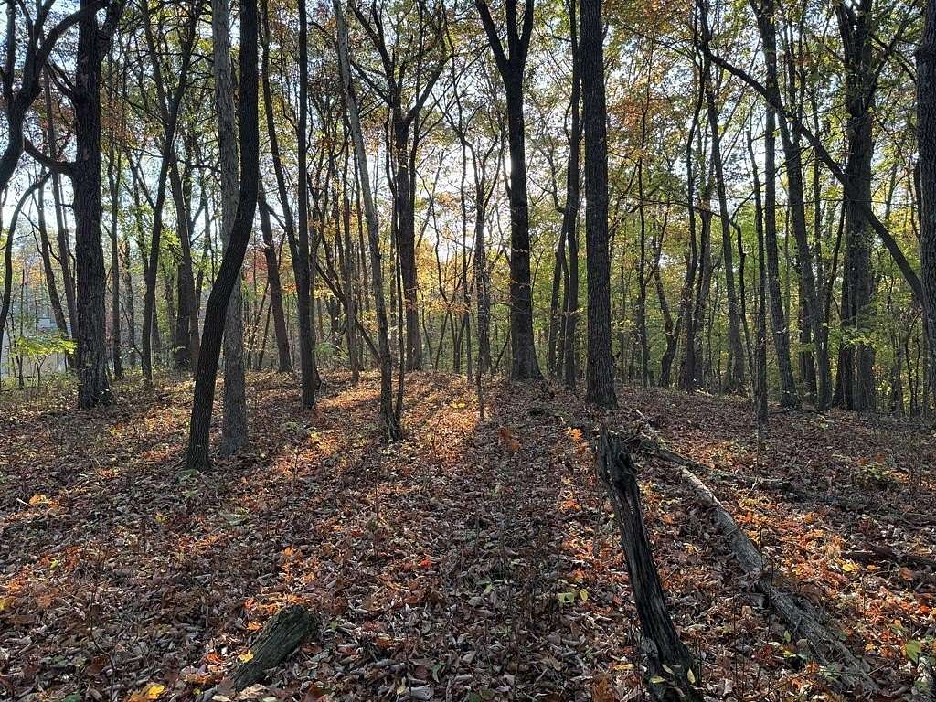 4 Acres of Residential Land for Sale in Monterey, Tennessee