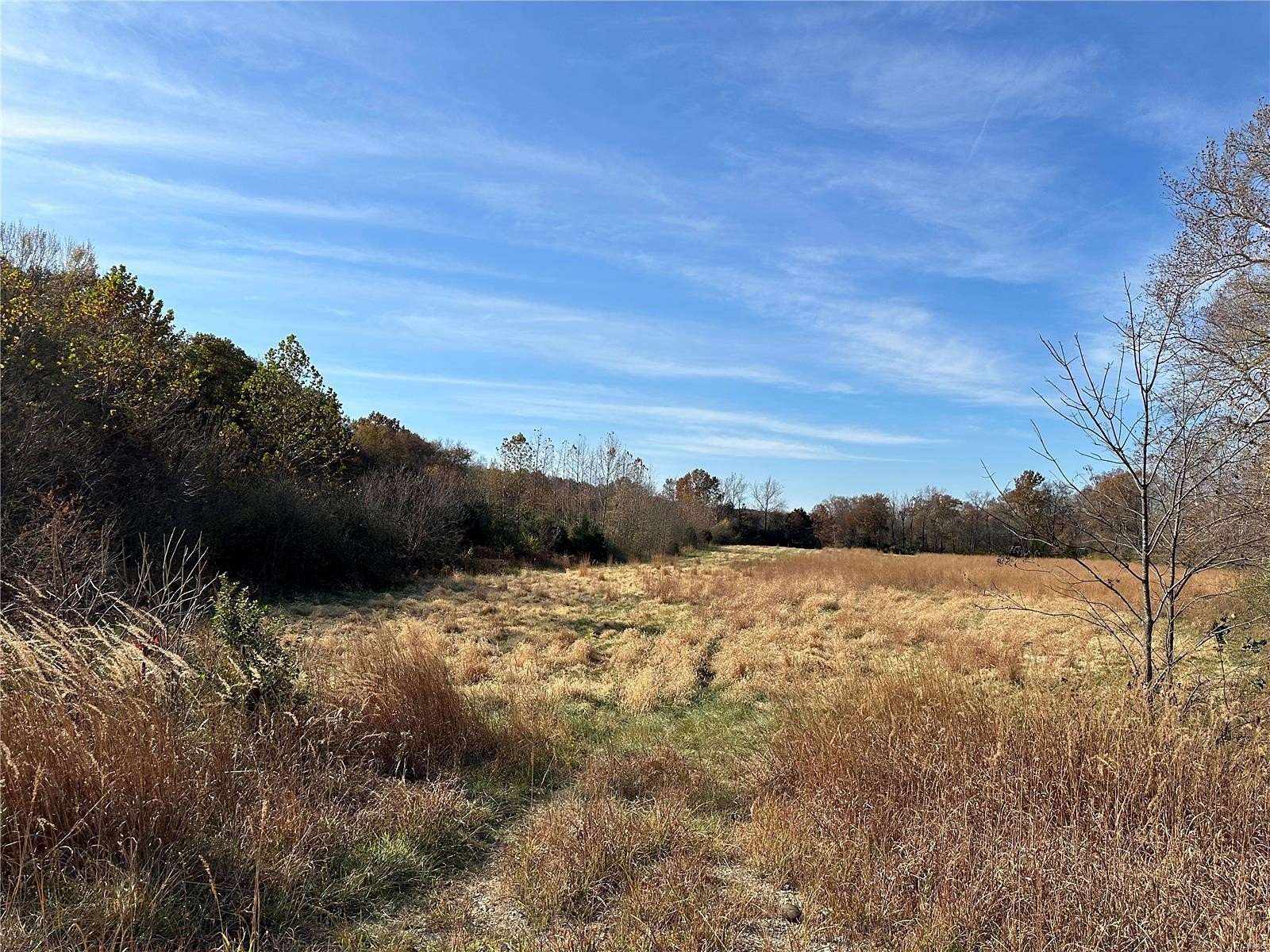 28 Acres of Land for Sale in Owensville, Missouri