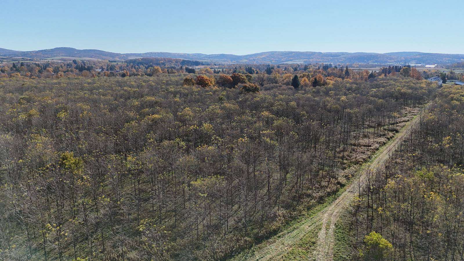 265 Acres of Recreational Land for Sale in Waterville, New York