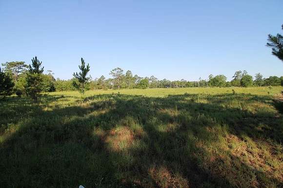 4.62 Acres of Residential Land for Sale in Valdosta, Georgia