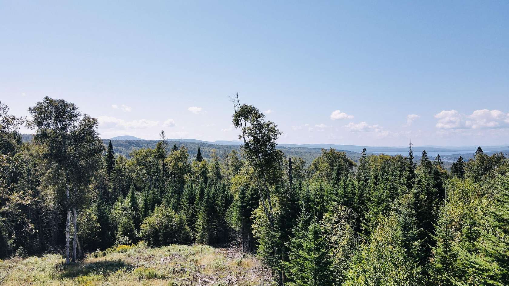 13.6 Acres of Land for Sale in Dallas Plantation, Maine