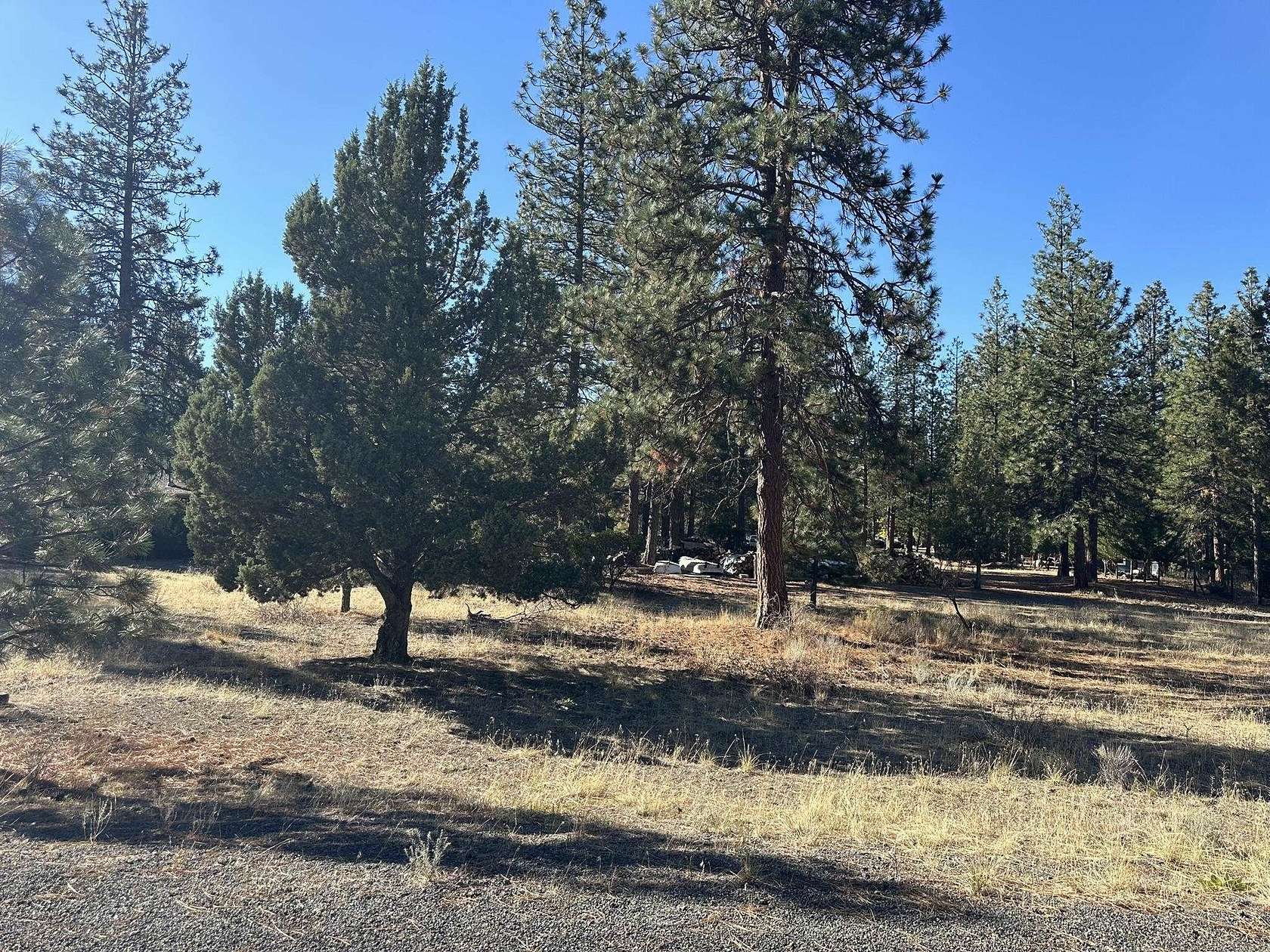 0.24 Acres of Residential Land for Sale in Weed, California