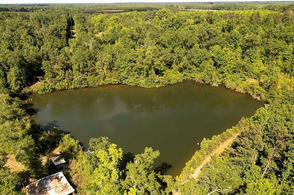 49.424 Acres of Land for Sale in Cuthbert, Georgia