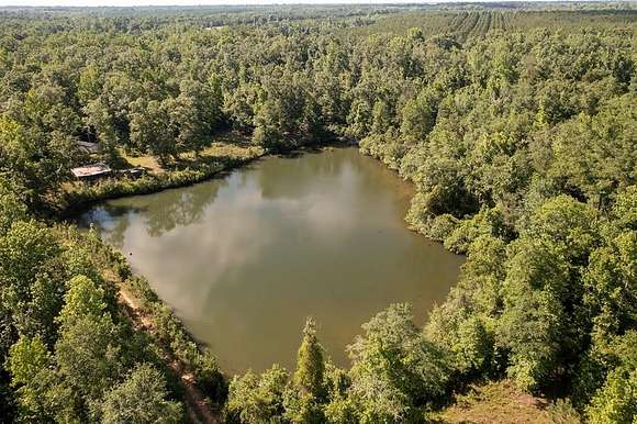 49.424 Acres of Land for Sale in Cuthbert, Georgia