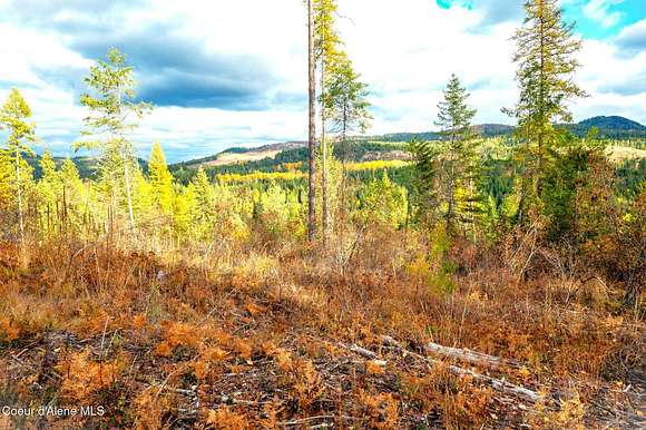 20 Acres of Land for Sale in Careywood, Idaho