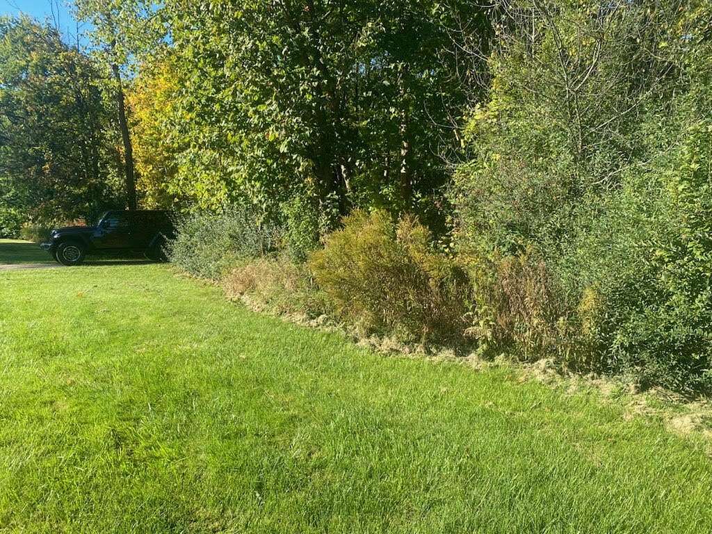 0.63 Acres of Land for Sale in Grand Rapids, Michigan