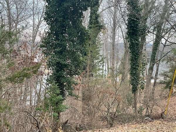 0.5 Acres of Land for Sale in Moneta, Virginia