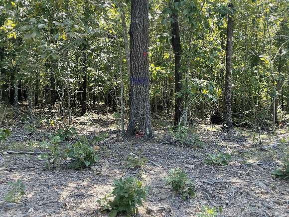 5 Acres of Residential Land for Sale in Romance, Arkansas