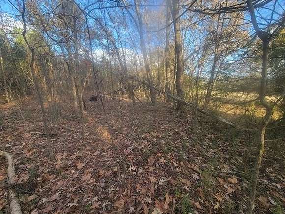 Residential Land for Sale in Somerville, Tennessee