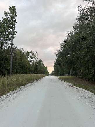 1.03 Acres of Residential Land for Sale in Bell, Florida