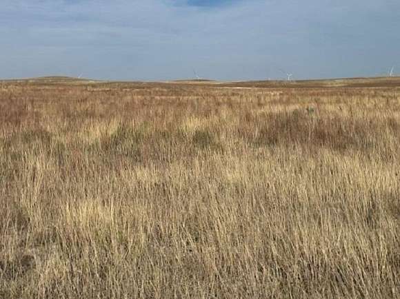 160 Acres of Agricultural Land for Sale in Gage, Oklahoma