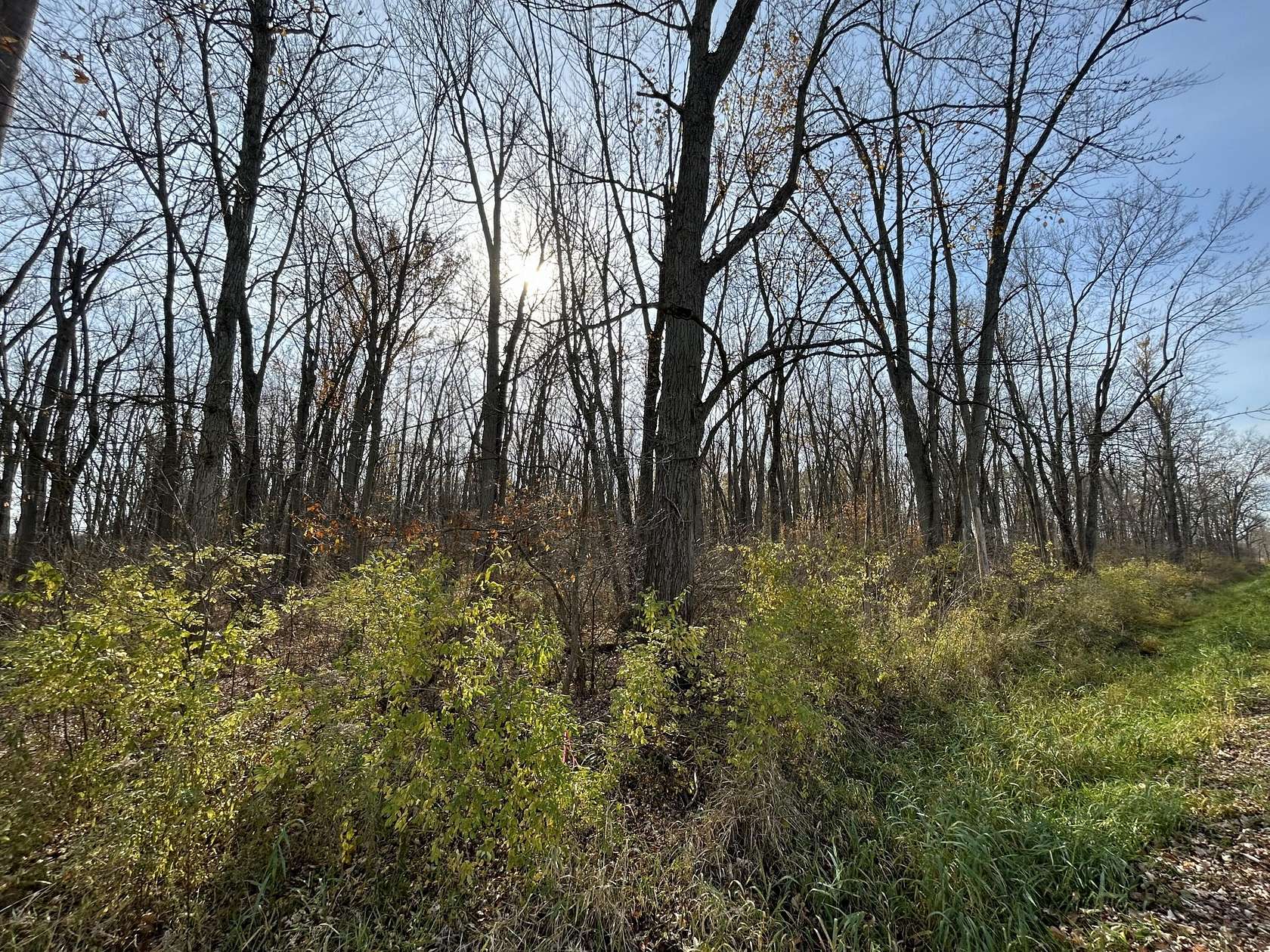 10.03 Acres of Recreational Land for Sale in Kalamazoo, Michigan