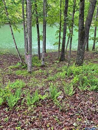 0.65 Acres of Residential Land for Sale in Double Springs, Alabama