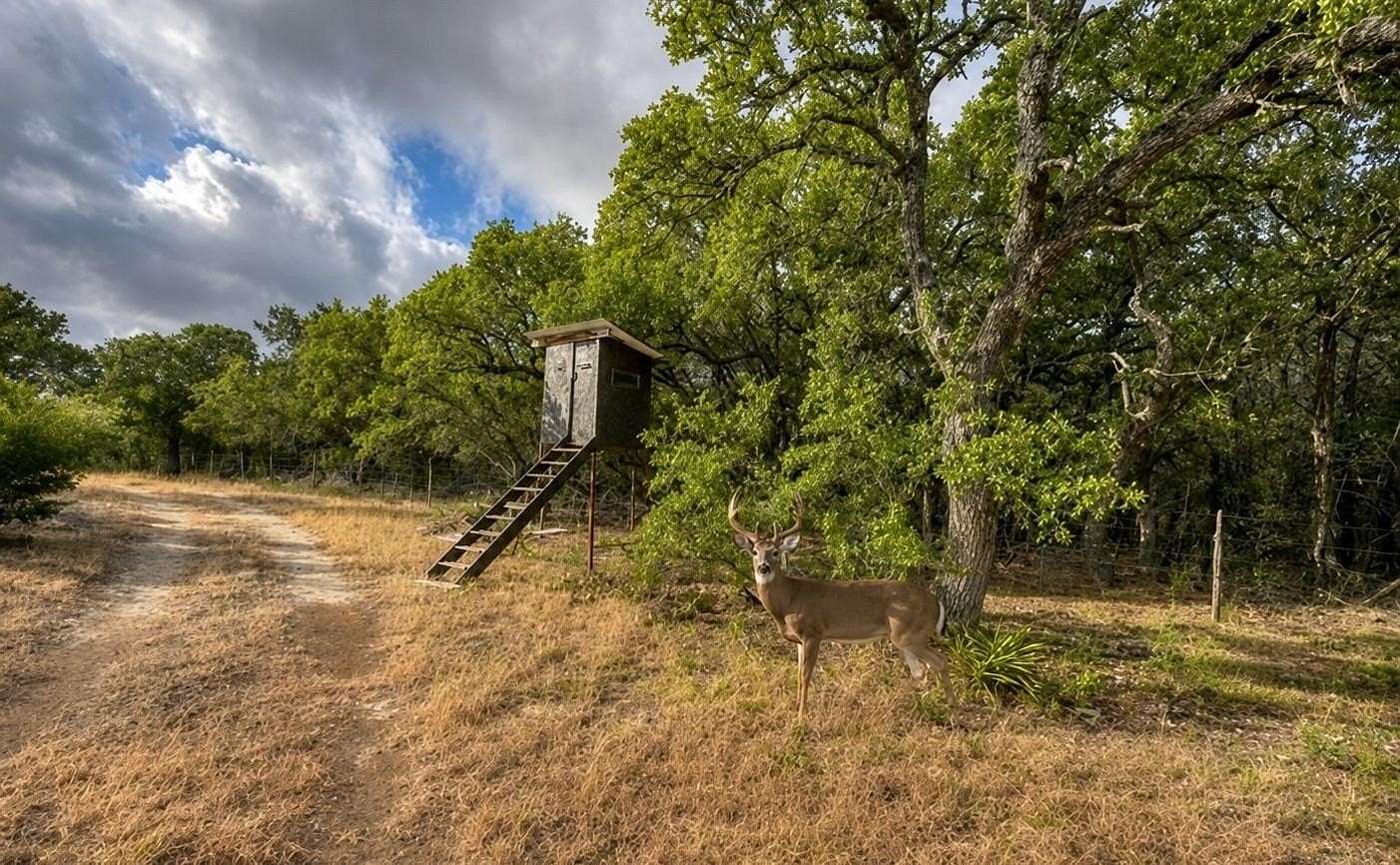 55.8 Acres of Recreational & Residential Land for Sale in Lampasas, Texas