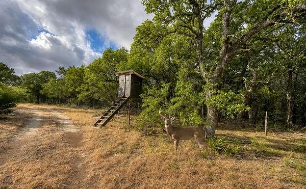 55.8 Acres of Recreational & Residential Land for Sale in Lampasas, Texas