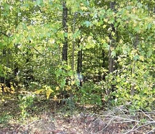 0.19 Acres of Commercial Land for Sale in Muscle Shoals, Alabama