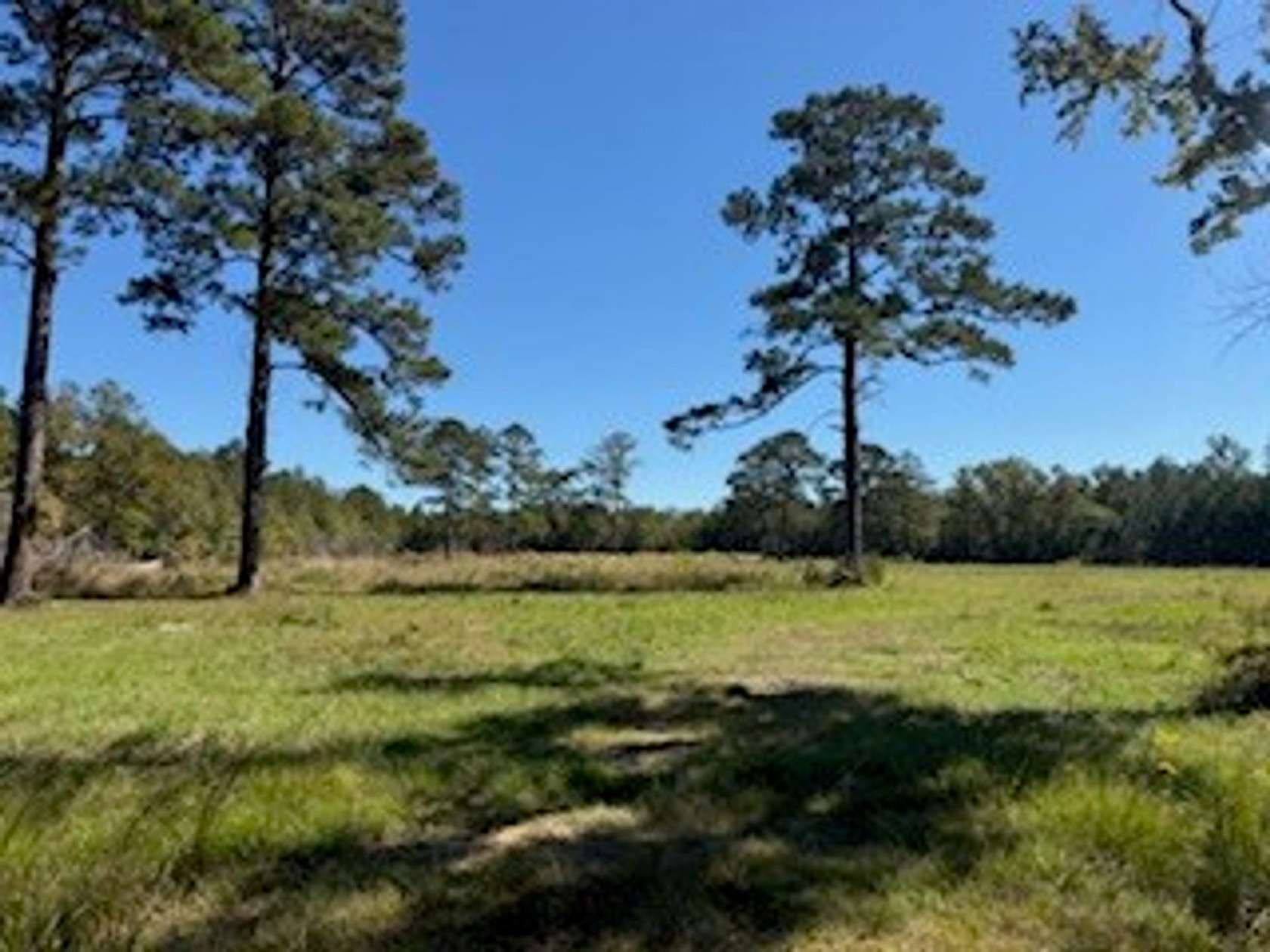 13 Acres of Recreational Land for Sale in Pike Road, Alabama