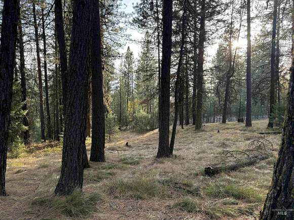 1.39 Acres of Residential Land for Sale in McCall, Idaho