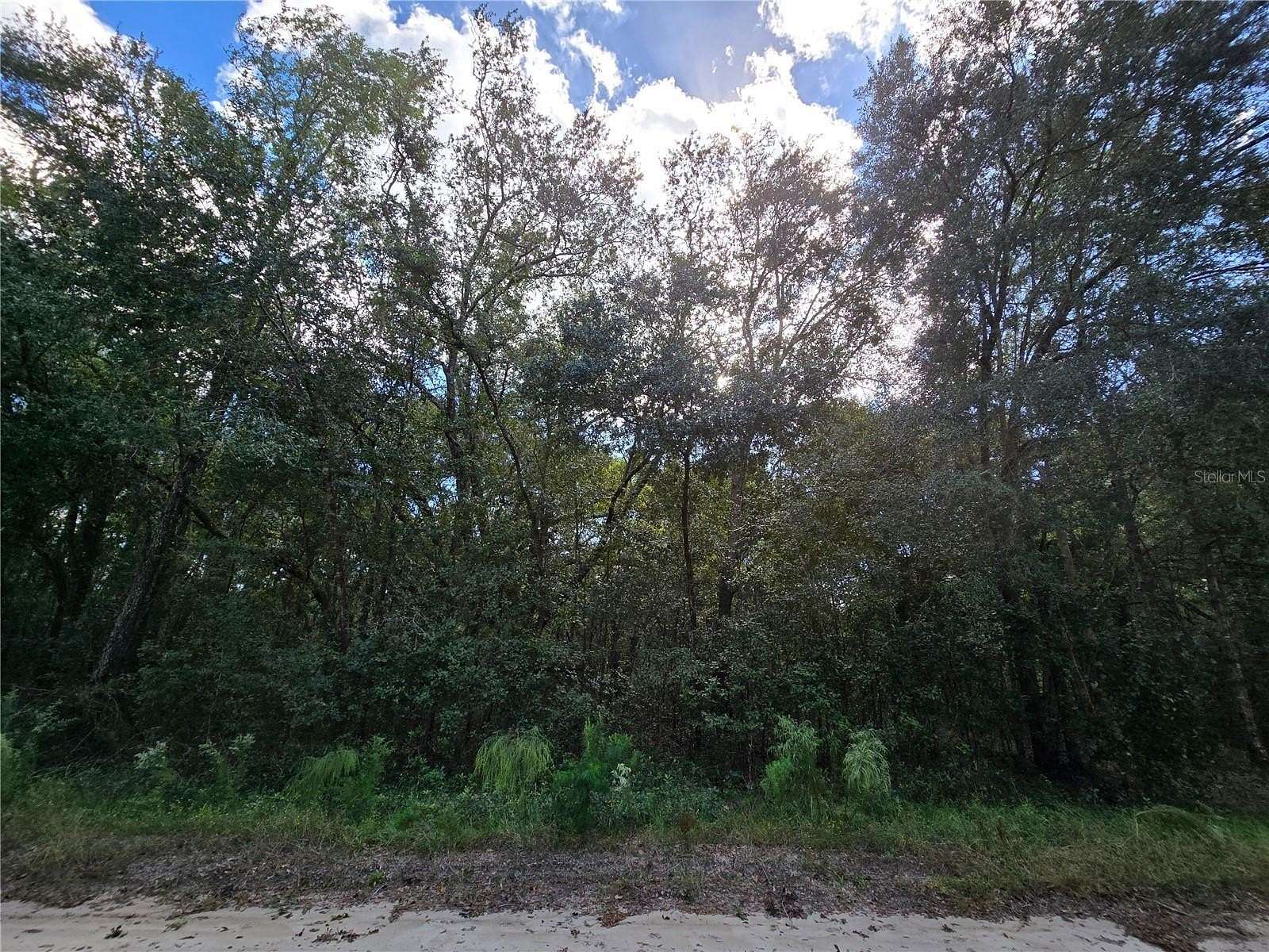 0.65 Acres of Residential Land for Sale in Interlachen, Florida