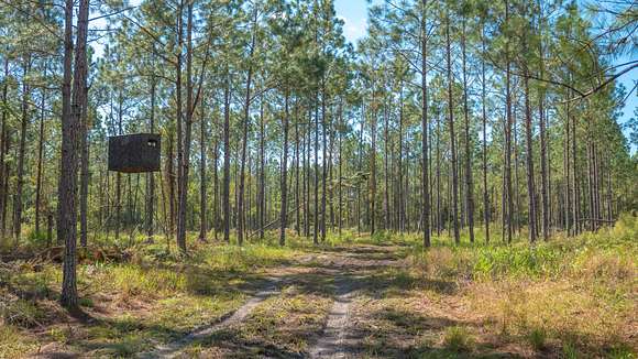 102 Acres of Recreational Land for Sale in Gainesville, Florida