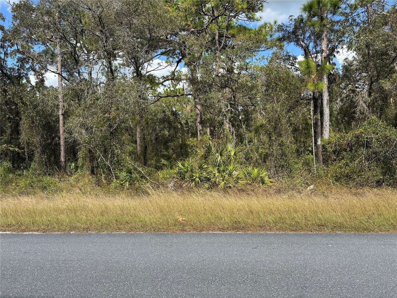 0.78 Acres of Residential Land for Sale in Brooksville, Florida