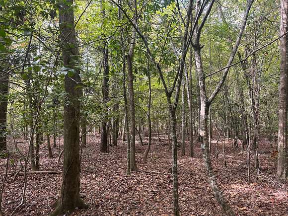 51.194 Acres of Recreational Land for Sale in Toomsboro, Georgia