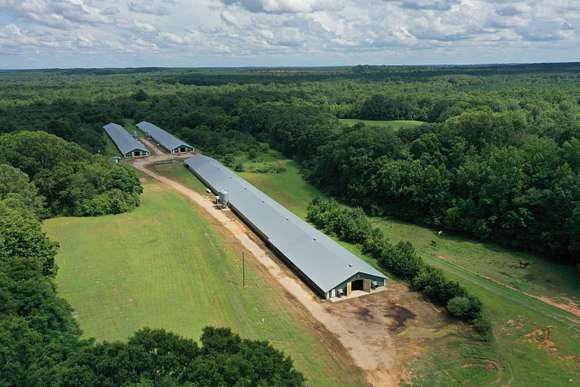 47 Acres of Agricultural Land for Sale in Lexington, Georgia