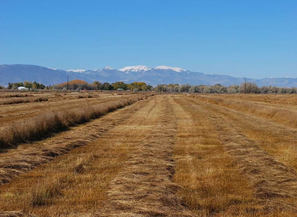 150 Acres of Recreational Land & Farm for Sale in Alamosa, Colorado