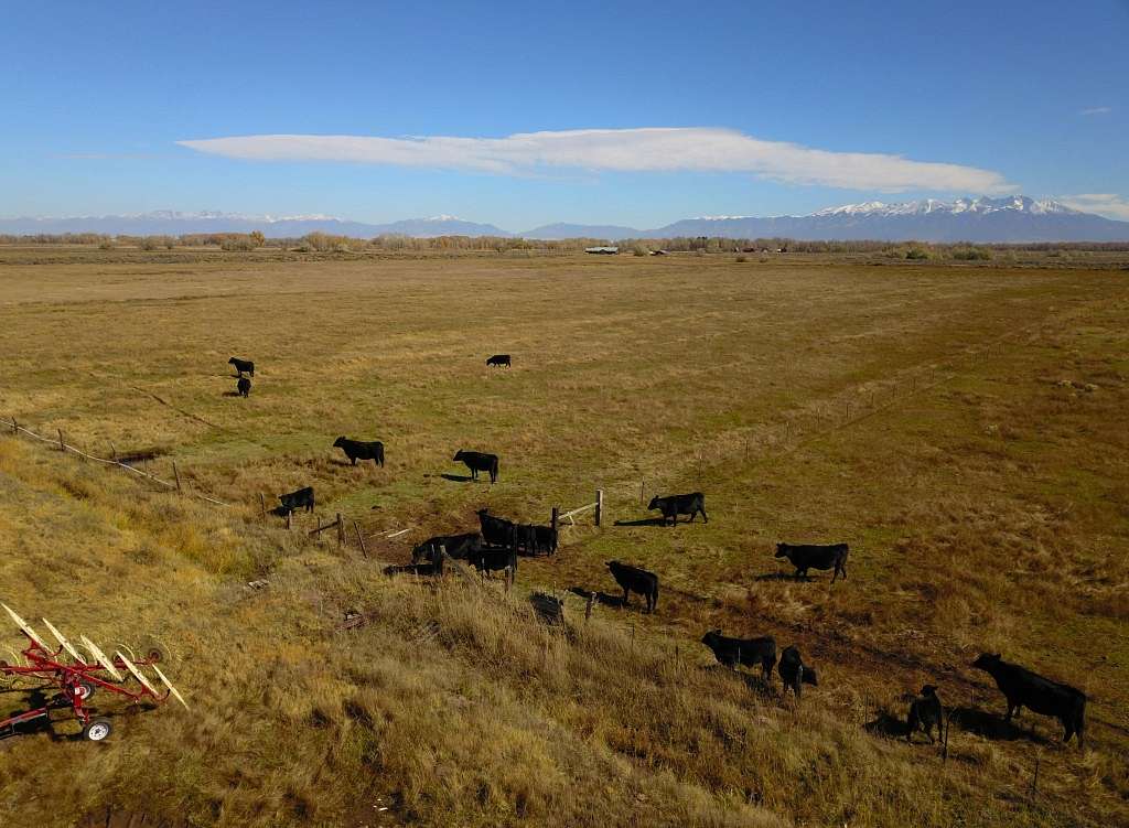 150 Acres of Recreational Land & Farm for Sale in Alamosa, Colorado