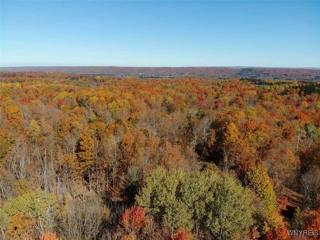 44 Acres of Land for Sale in Sardinia, New York