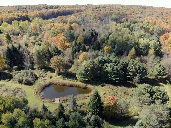 44 Acres of Land for Sale in Sardinia, New York