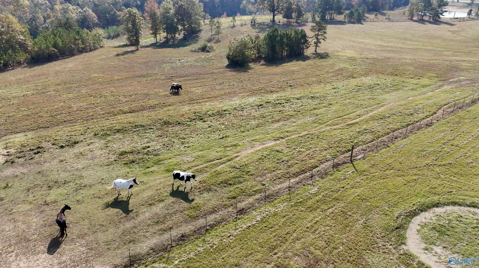 60 Acres of Agricultural Land with Home for Sale in Hamilton, Alabama